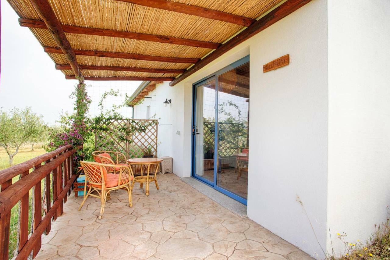 Agriturismo Mieleamaro Villa Olbia Exterior foto